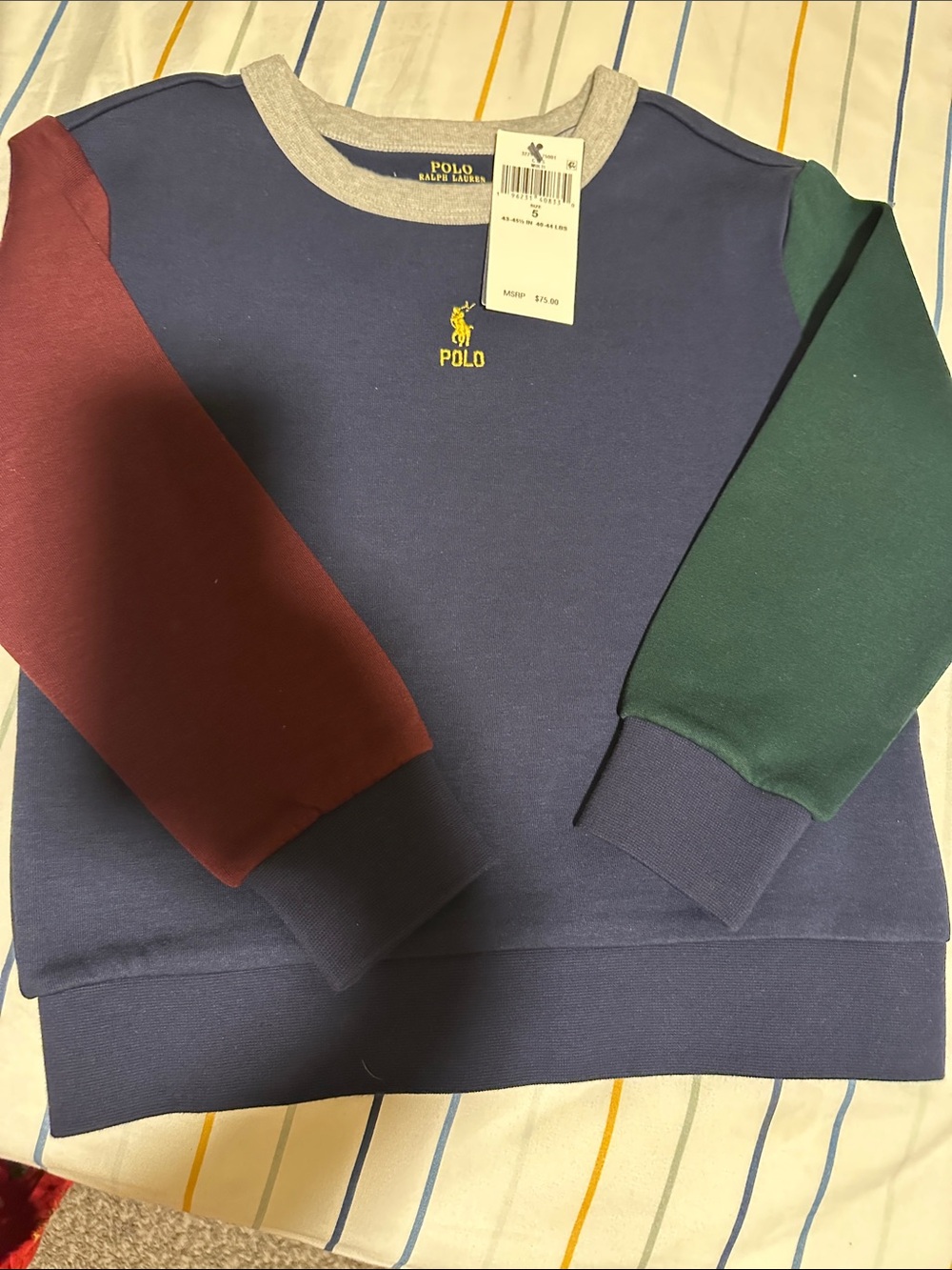 Polo by Ralph Lauren Navy Sweatshirt with Burgundy and Forest Green Sleeves